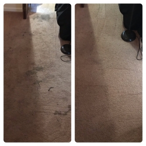Photo of Carpet & Flooring Transformers