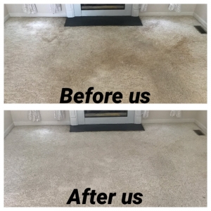 Photo of Carpet & Flooring Transformers