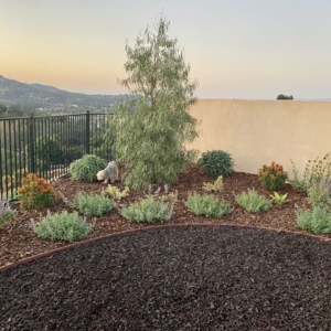 Photo of Letz Design Landscape