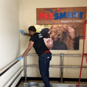 Photo of M & D Cleaning Service