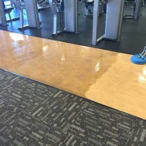 Photo of Allstar Carpet & Upholstery Care
