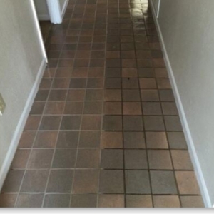 Photo of Allstar Carpet & Upholstery Care