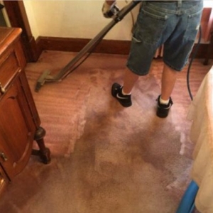Photo of Allstar Carpet & Upholstery Care