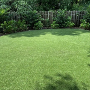 Photo of ProGreen Charlotte
