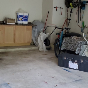 Photo of Moving Forward Movers