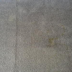 Photo of Texas Cleaning Solutions