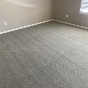Photo of Steam Team Carpet Cleaning