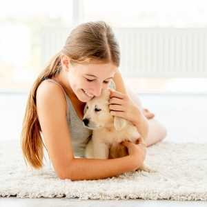 Montgomery Action Plus Carpet Care & Restoration