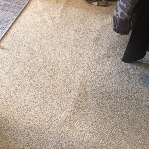 Photo of A Advanced Carpet Cleaning