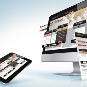San Antonio Spidermen Web Design