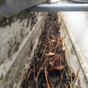 Photo of Hydro Clean Environmental