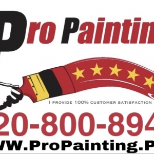 Photo of Pro Painting