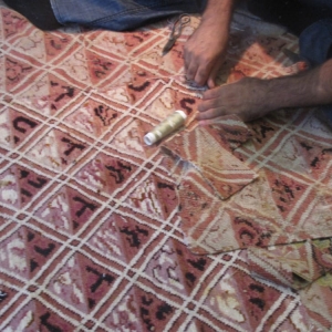 Photo of Papillon Rug Care