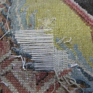 Photo of Papillon Rug Care