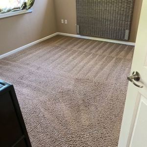 Photo of ShineBrite Premier Cleaning Services