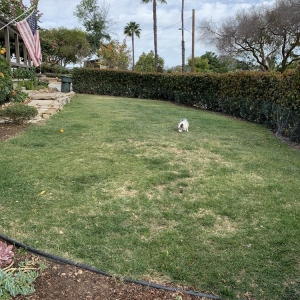 Photo of Blue Monarch Landscape Development