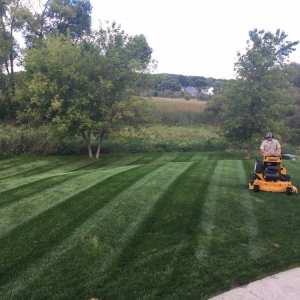 Photo of Advance Lawn Service