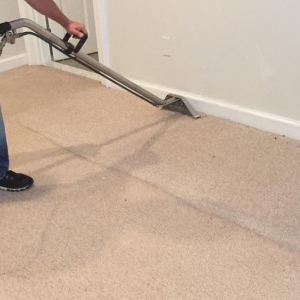 Photo of Roy's Carpet Cleaning