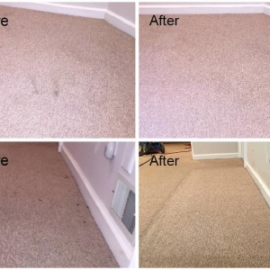 Photo of Roy's Carpet Cleaning