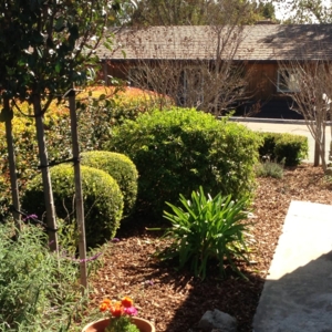 Photo of Kokaila Lawn & Garden Services