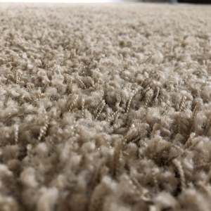 Selma Steamer's Carpet Care