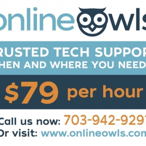 Photo of Online Owls