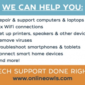 Photo of Online Owls