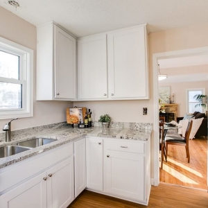 Maple Grove Scott Carlson - BRIX Real Estate
