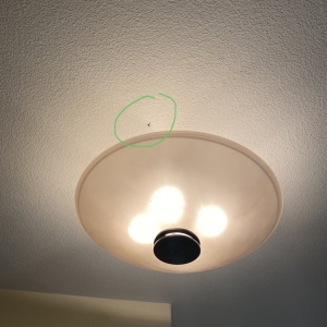 Photo of Chloris Nontoxic Cleaning Service
