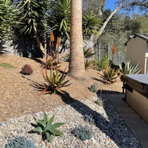 Photo of MSE Landscape Professionals