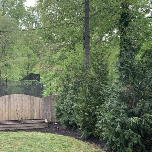 Photo of ATL Landscaping