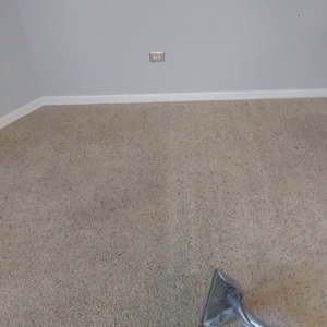 Photo of A Affordable Carpet Cleaning