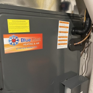 Photo of Blue Best Heating & Air