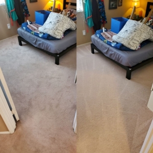 Photo of CTG Carpet-Tile-Grout Cleaning
