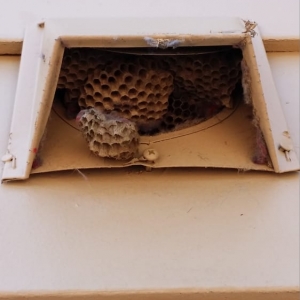 Photo of All Clean Dryer Vent Cleaning