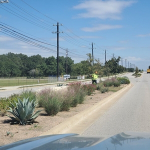 Photo of Abescape Landscaping