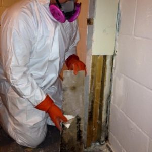Photo of AJ's Cleaning & Restoration