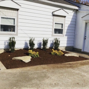 Photo of New Image Lawn and Landscape