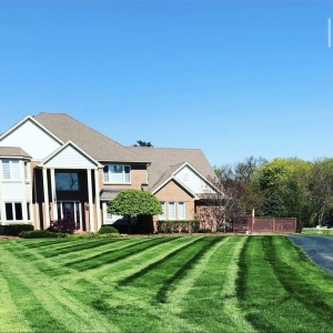 Photo of New Image Lawn and Landscape