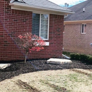 Photo of New Image Lawn and Landscape