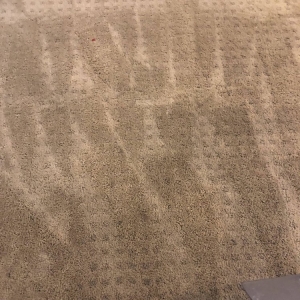 Photo of Coastals Cleaning Services