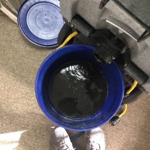 Photo of Coastals Cleaning Services