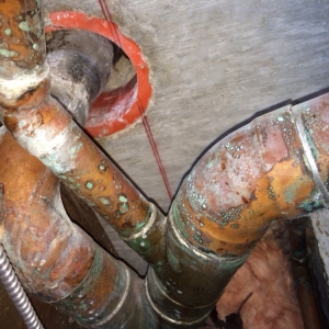 Photo of AAA Plumbing Services
