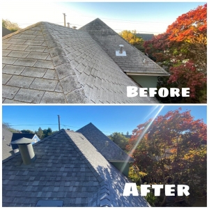 Photo of Leon Brothers Roofing