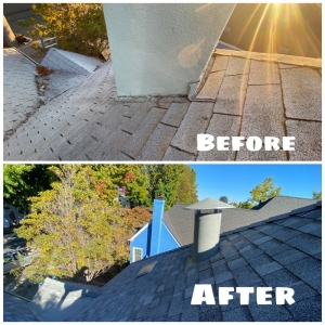 Photo of Leon Brothers Roofing