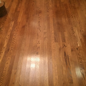 Photo of Nashville Hardwood Floor Care