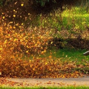 Photo of Kiefer's Lawn & Landscaping
