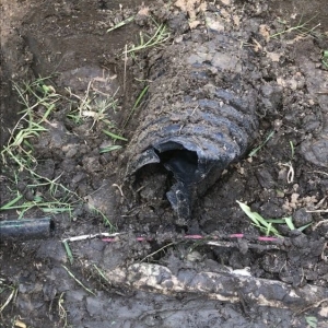 Photo of Bryant Lawn and Sprinkler