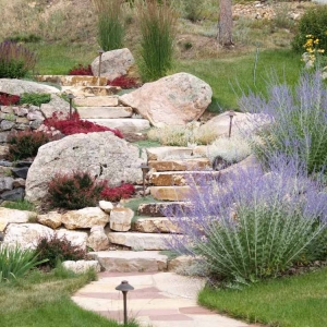 Photo of Evergreen Landscape & Design