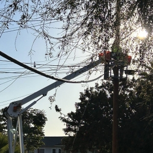 Photo of Wyyerd Fiber